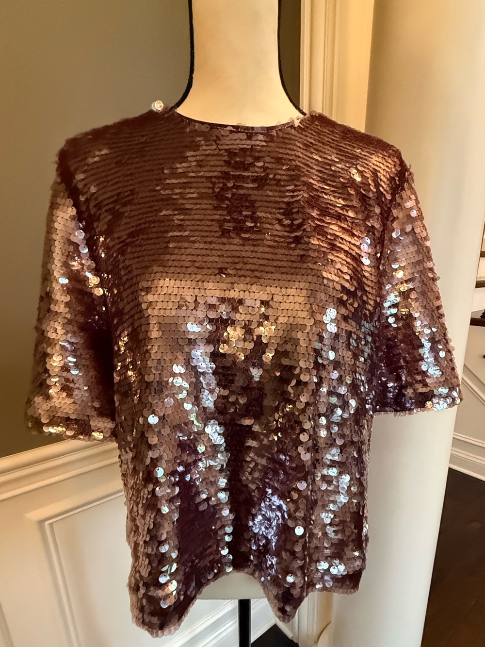 NWT Ann Taylor Sequin Top